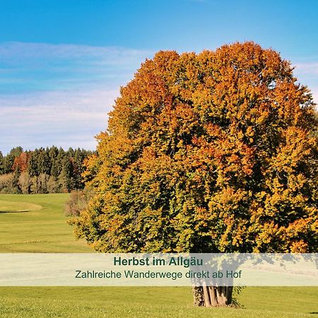 Chalet - Ferienwohnungen - Biohof Stoeger - Panoramasuedbalkon - Grandiose Aussicht Auf See, Berge Und Schloss Neuschwanstein 리덴 외부 사진