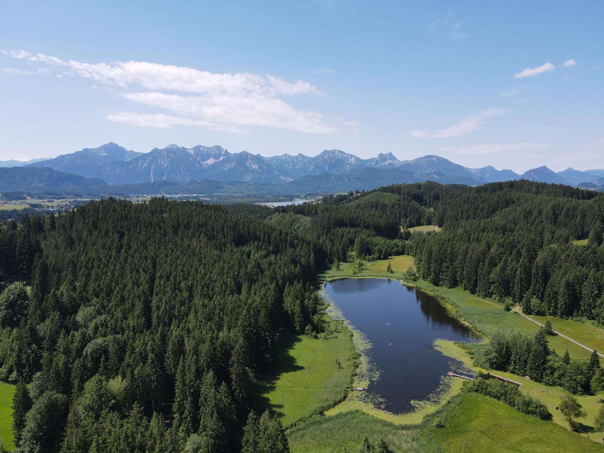 Chalet - Ferienwohnungen - Biohof Stoeger - Panoramasuedbalkon - Grandiose Aussicht Auf See, Berge Und Schloss Neuschwanstein 리덴 외부 사진