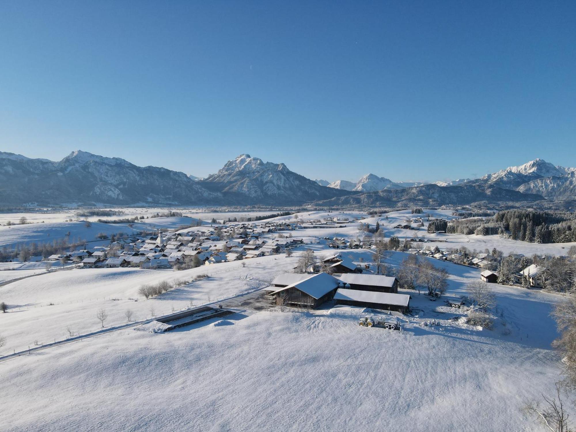Chalet - Ferienwohnungen - Biohof Stoeger - Panoramasuedbalkon - Grandiose Aussicht Auf See, Berge Und Schloss Neuschwanstein 리덴 외부 사진