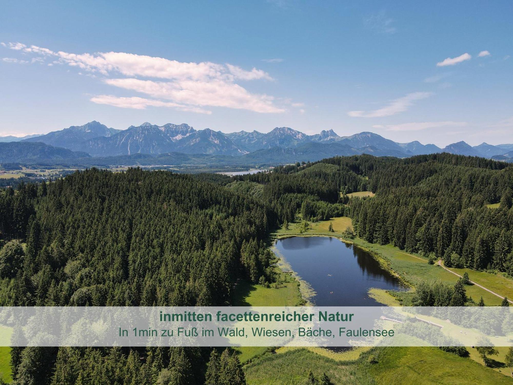 Chalet - Ferienwohnungen - Biohof Stoeger - Panoramasuedbalkon - Grandiose Aussicht Auf See, Berge Und Schloss Neuschwanstein 리덴 외부 사진