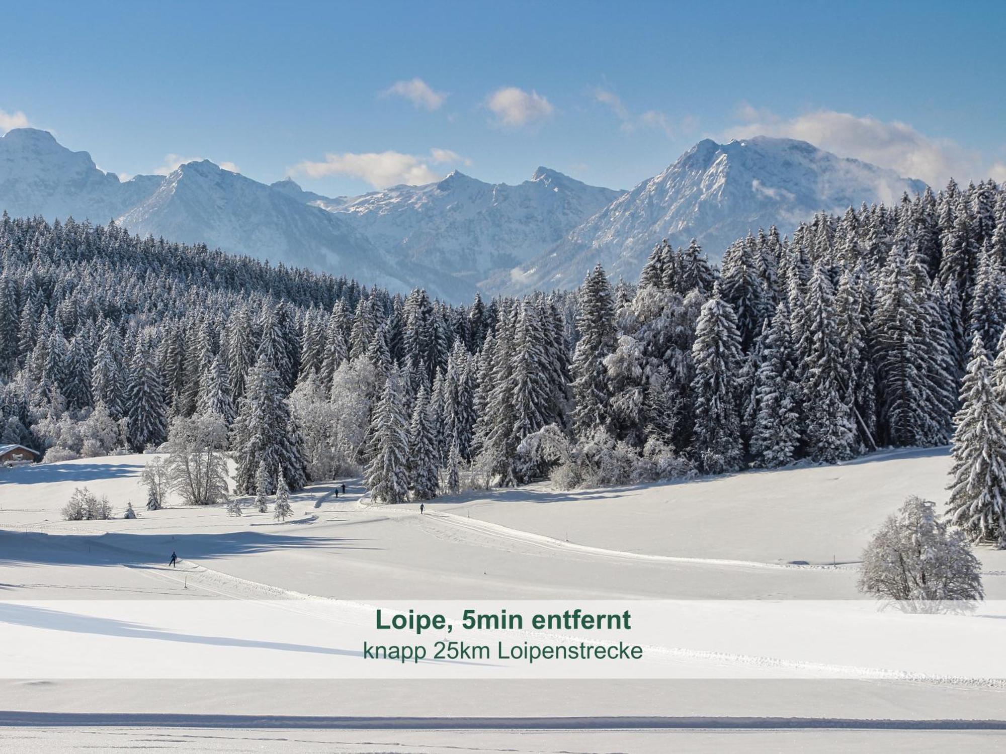 Chalet - Ferienwohnungen - Biohof Stoeger - Panoramasuedbalkon - Grandiose Aussicht Auf See, Berge Und Schloss Neuschwanstein 리덴 외부 사진