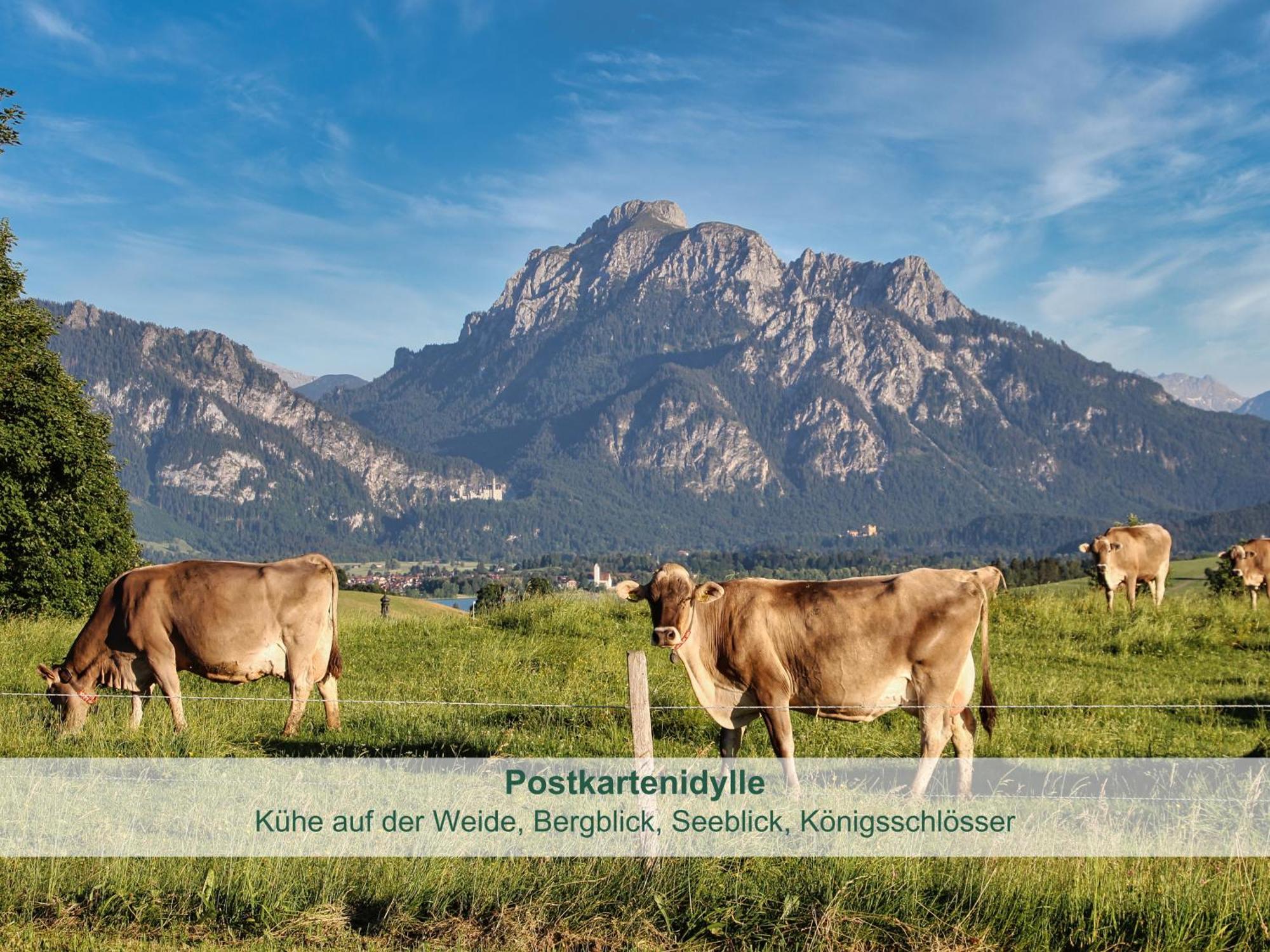 Chalet - Ferienwohnungen - Biohof Stoeger - Panoramasuedbalkon - Grandiose Aussicht Auf See, Berge Und Schloss Neuschwanstein 리덴 외부 사진