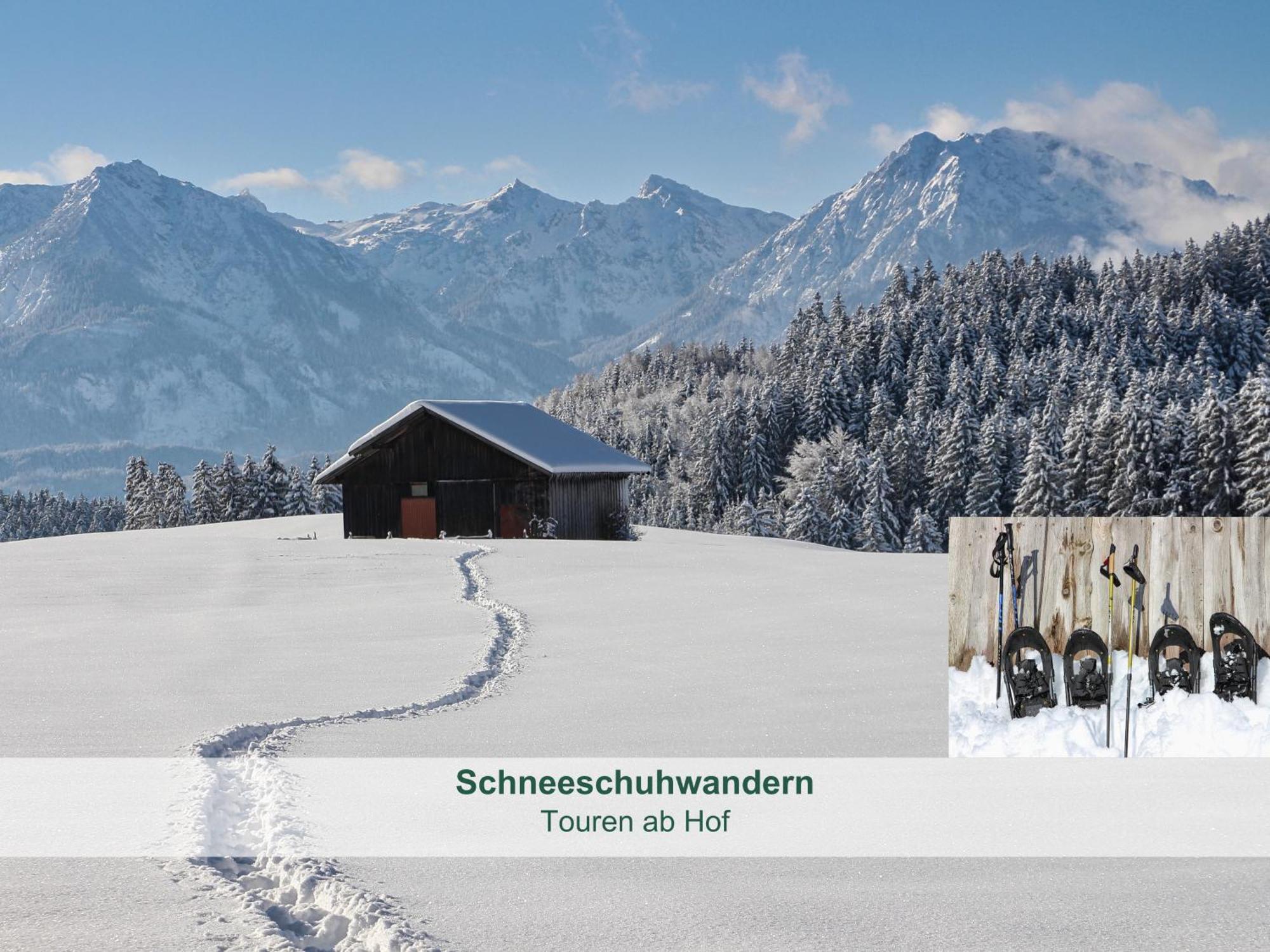 Chalet - Ferienwohnungen - Biohof Stoeger - Panoramasuedbalkon - Grandiose Aussicht Auf See, Berge Und Schloss Neuschwanstein 리덴 외부 사진