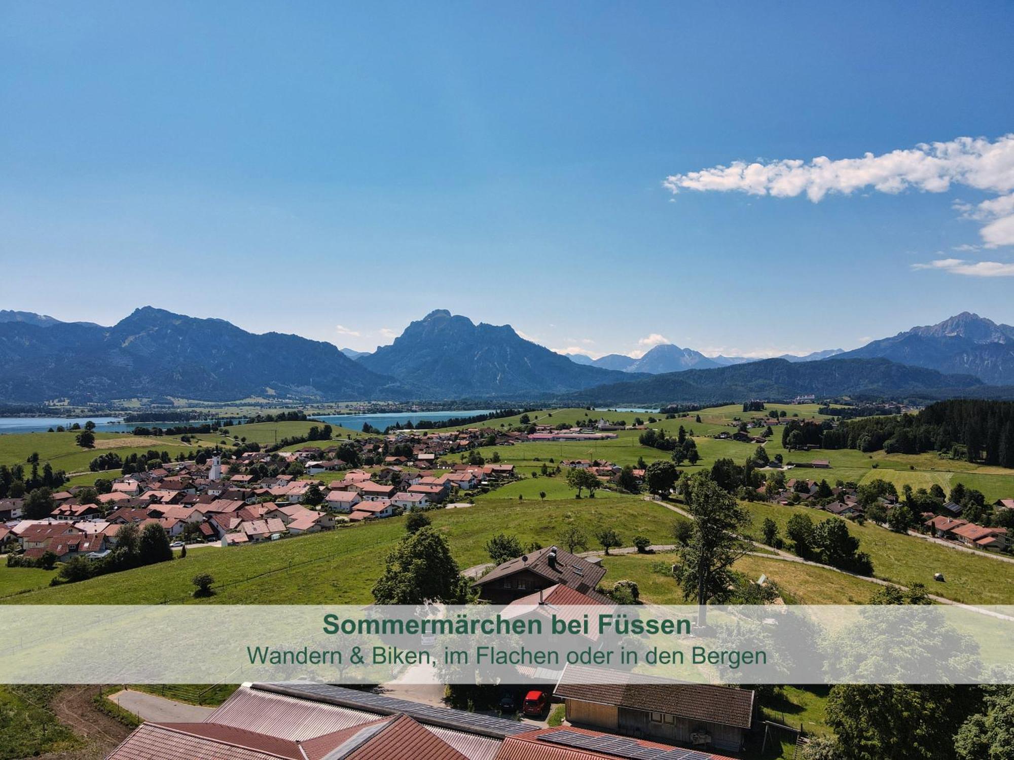 Chalet - Ferienwohnungen - Biohof Stoeger - Panoramasuedbalkon - Grandiose Aussicht Auf See, Berge Und Schloss Neuschwanstein 리덴 외부 사진
