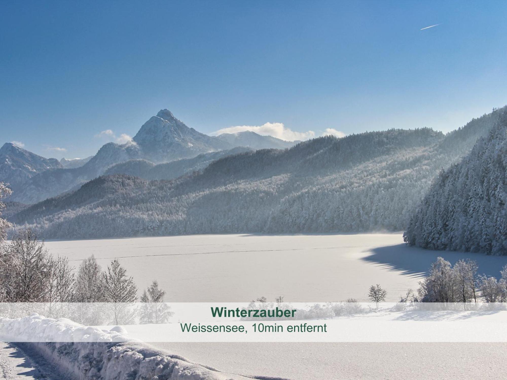 Chalet - Ferienwohnungen - Biohof Stoeger - Panoramasuedbalkon - Grandiose Aussicht Auf See, Berge Und Schloss Neuschwanstein 리덴 외부 사진