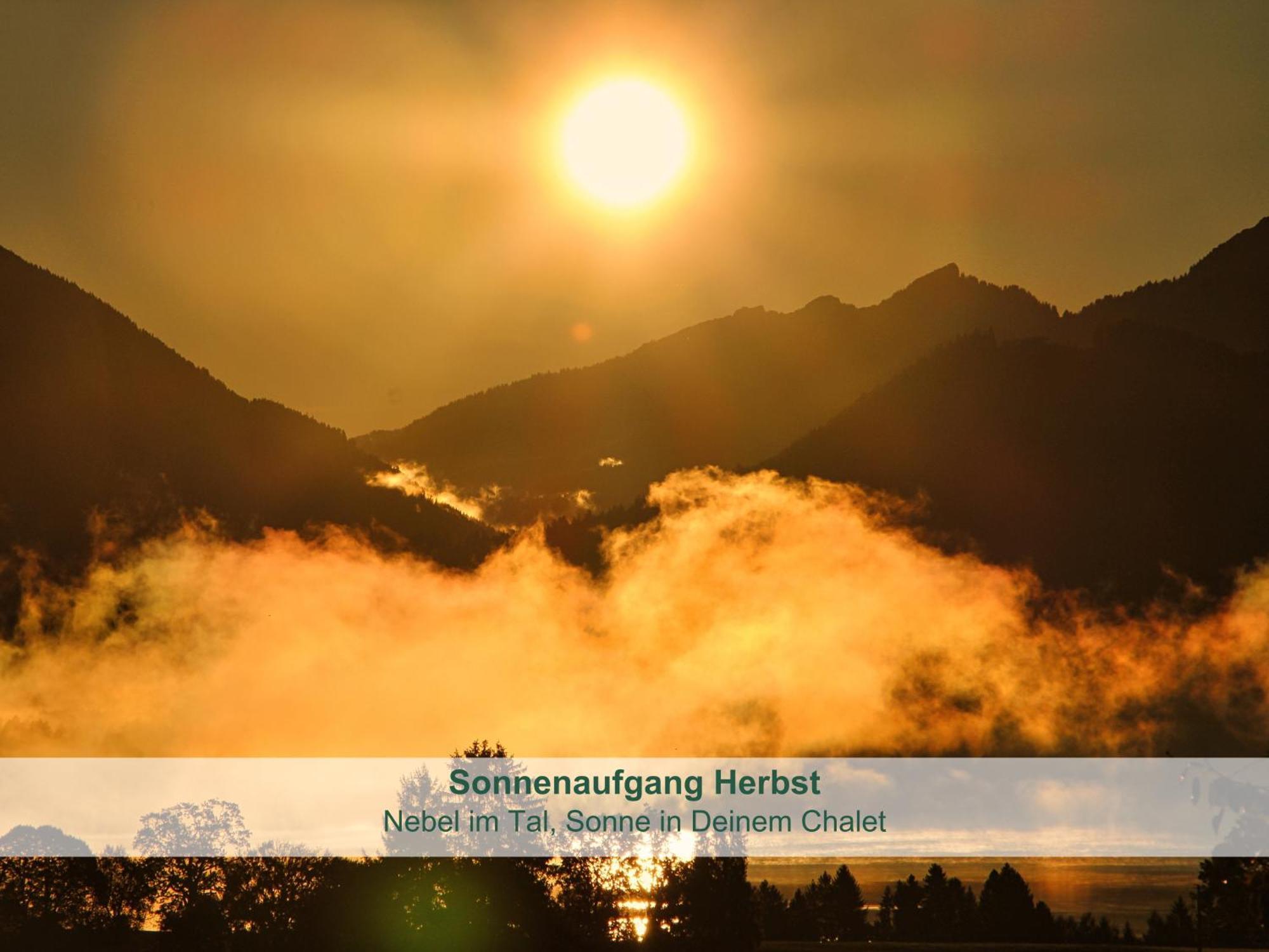 Chalet - Ferienwohnungen - Biohof Stoeger - Panoramasuedbalkon - Grandiose Aussicht Auf See, Berge Und Schloss Neuschwanstein 리덴 외부 사진